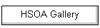 HSOA Gallery